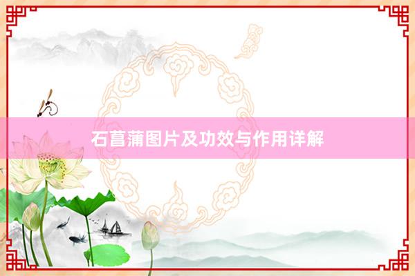 石菖蒲图片及功效与作用详解