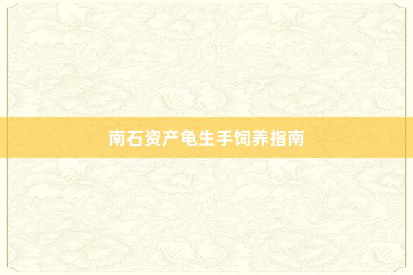 南石资产龟生手饲养指南