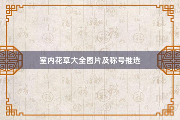 室内花草大全图片及称号推选